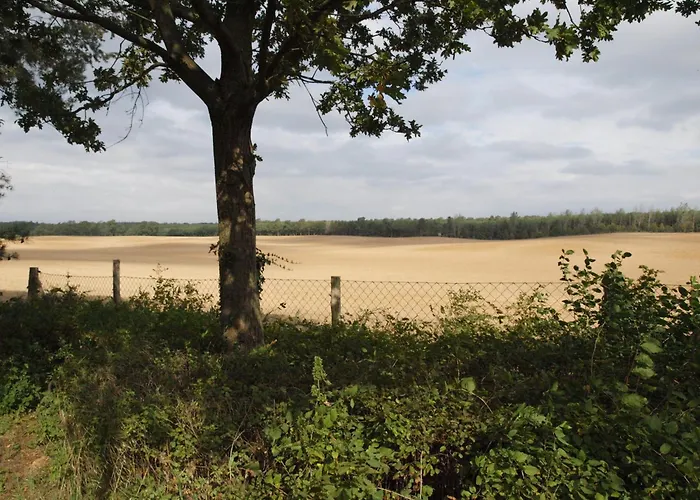 Erleben Und Ruhe Geniessen Semesterbostad